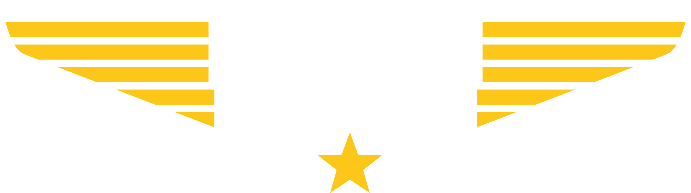 Flight Experience - Nivelles